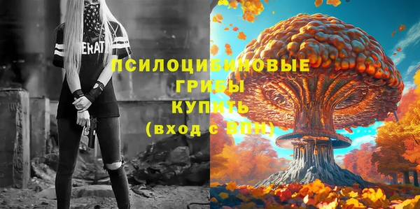 прущие крисы Мурманск