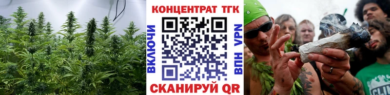 это какой сайт  дарнет шоп  Дубовка  Дистиллят ТГК Wax 