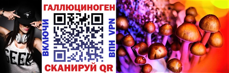 kraken tor Дубовка Галлюциногенные грибы Magic Shrooms как найти закладки