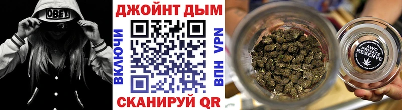 мега ссылки  цены наркотик  Дубовка  Бошки Шишки сатива 